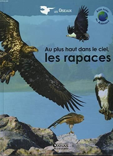 Au plus haut dans le ciel, les rapaces