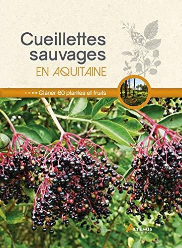 Cueillettes sauvages en aquitaine