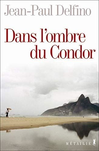 Dans l'ombre du condor