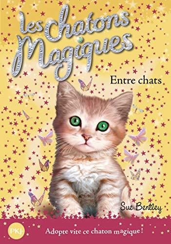 Entre chats