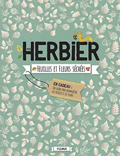 Herbier / feuilles et fleurs séchées