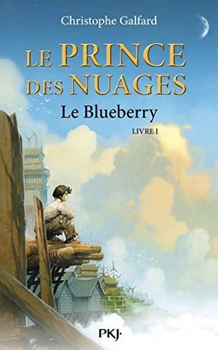 Le Blueberry, livre 1