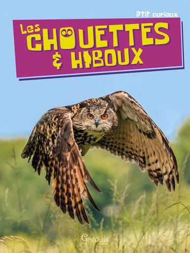 Les Chouettes & hiboux