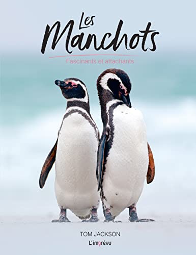 Les Manchots