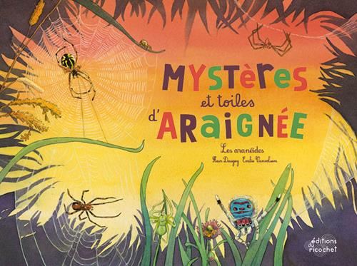 Mystères et toiles d'araignée
