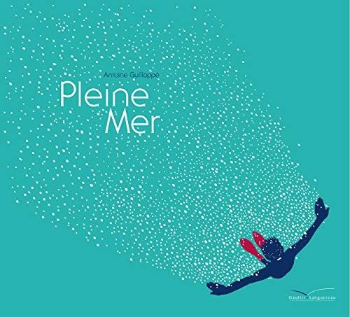 Pleine mer