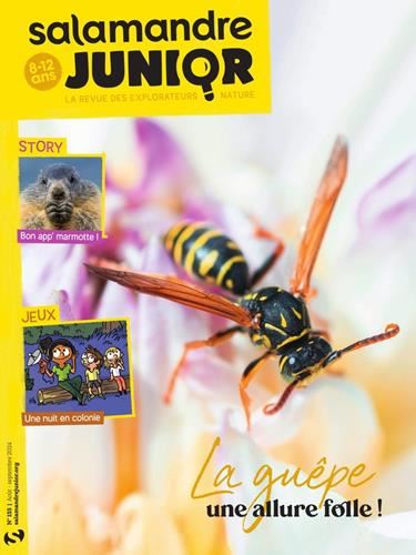 Salamandre junior N° 155 Août-septembre 2024