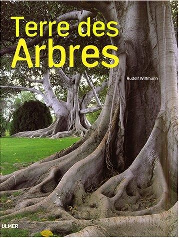 Terre des arbres