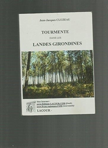 Tourmente dans les landes girondines