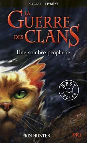 Une sombre prophétie, cycle 1, livre 6